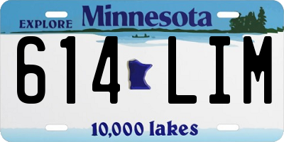 MN license plate 614LIM