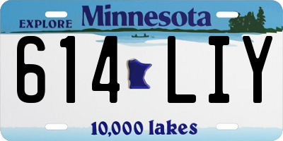 MN license plate 614LIY