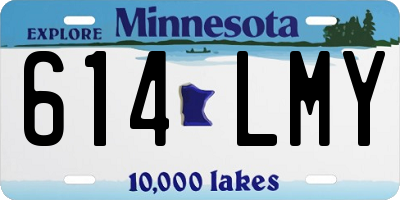 MN license plate 614LMY