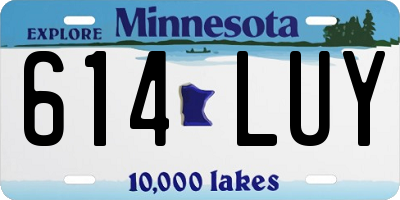 MN license plate 614LUY