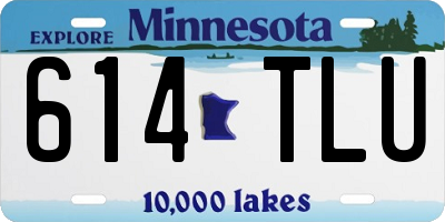 MN license plate 614TLU