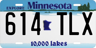 MN license plate 614TLX