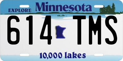 MN license plate 614TMS