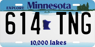 MN license plate 614TNG