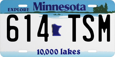 MN license plate 614TSM