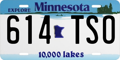MN license plate 614TSO