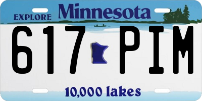 MN license plate 617PIM