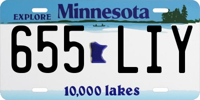 MN license plate 655LIY