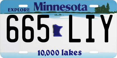 MN license plate 665LIY