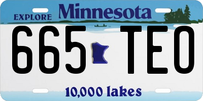 MN license plate 665TEO