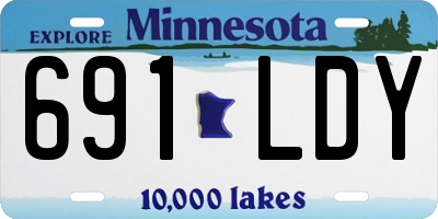 MN license plate 691LDY