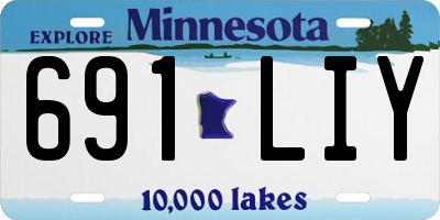 MN license plate 691LIY