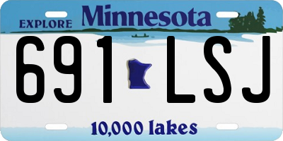 MN license plate 691LSJ