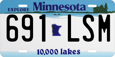 MN license plate 691LSM