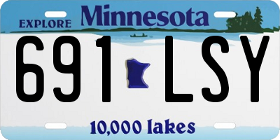 MN license plate 691LSY