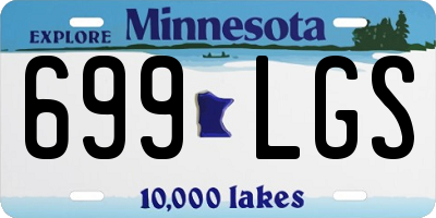 MN license plate 699LGS