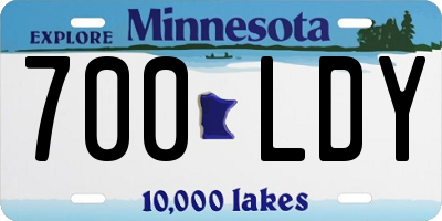 MN license plate 700LDY