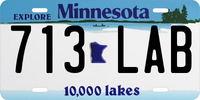 MN license plate 713LAB