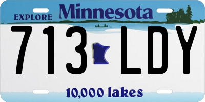 MN license plate 713LDY