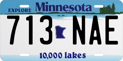 MN license plate 713NAE