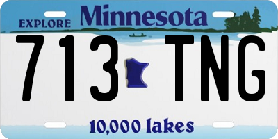 MN license plate 713TNG