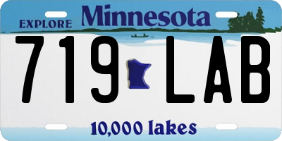 MN license plate 719LAB