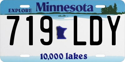 MN license plate 719LDY