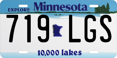 MN license plate 719LGS