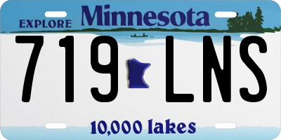 MN license plate 719LNS