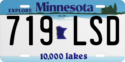 MN license plate 719LSD