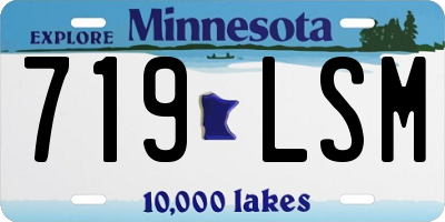 MN license plate 719LSM