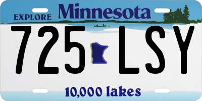 MN license plate 725LSY