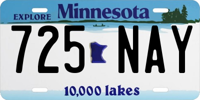MN license plate 725NAY
