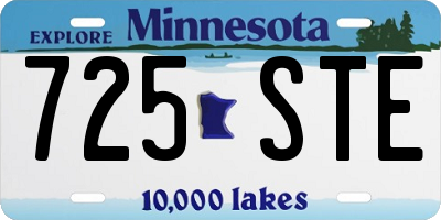 MN license plate 725STE