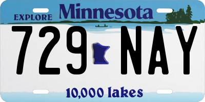 MN license plate 729NAY
