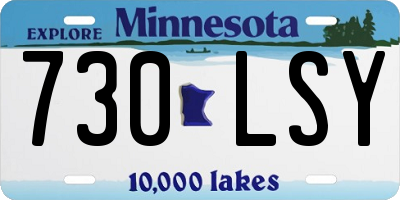 MN license plate 730LSY