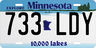 MN license plate 733LDY