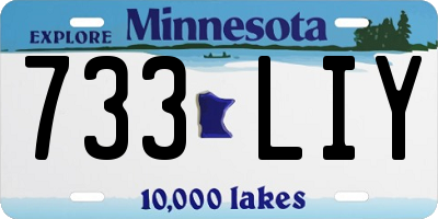MN license plate 733LIY