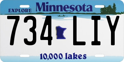 MN license plate 734LIY