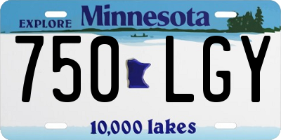 MN license plate 750LGY