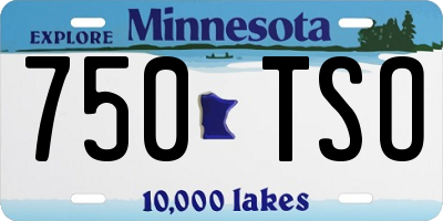 MN license plate 750TSO