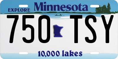 MN license plate 750TSY