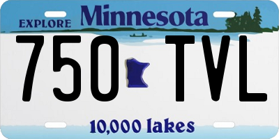MN license plate 750TVL