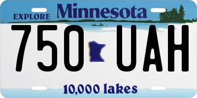 MN license plate 750UAH