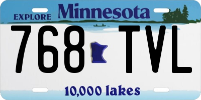 MN license plate 768TVL