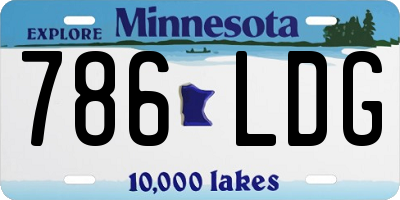 MN license plate 786LDG