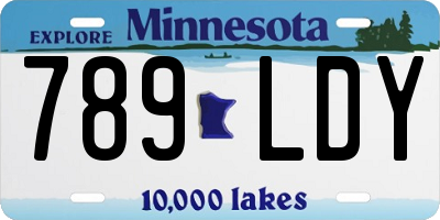 MN license plate 789LDY