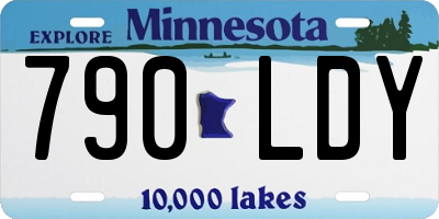 MN license plate 790LDY