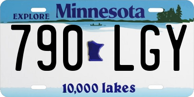 MN license plate 790LGY