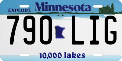 MN license plate 790LIG